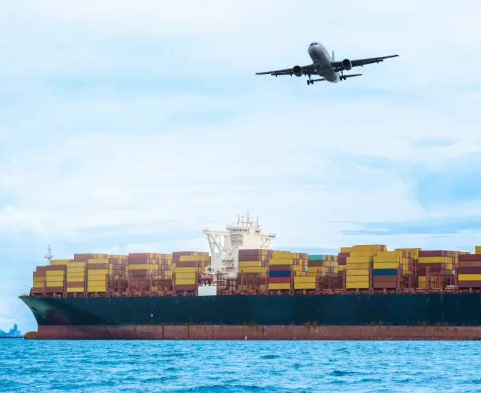 INTERNATIONAL TRANSPORT 国際輸送