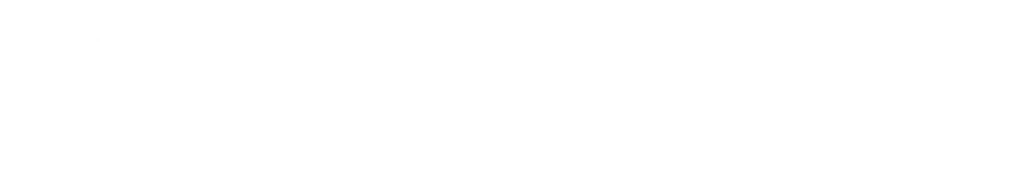 International transport 国際輸送