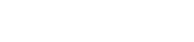 Bodyguard ボディガード